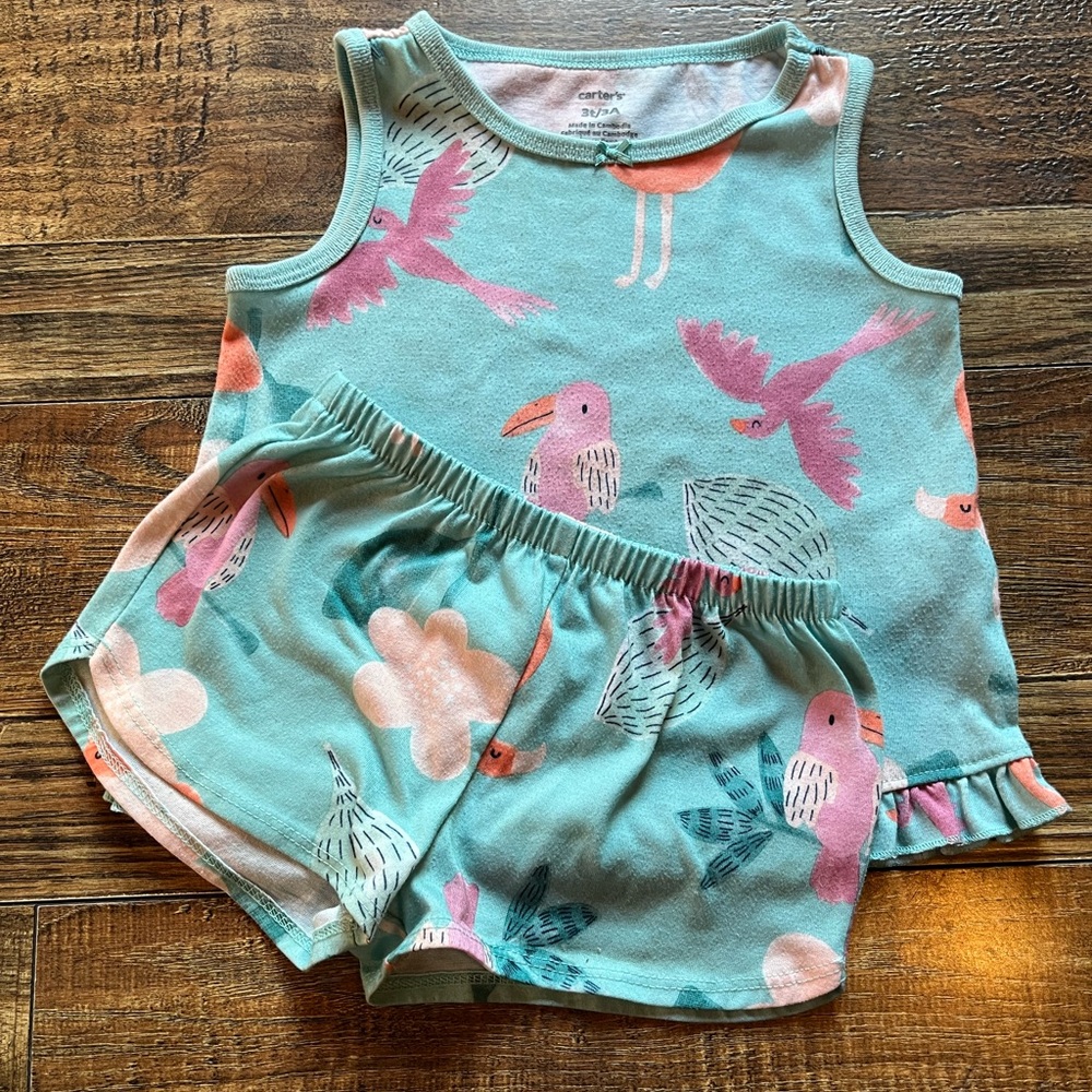 Carter's Teal and Pink Kids Matching Set